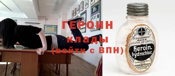ГАЛЛЮЦИНОГЕННЫЕ ГРИБЫ Дмитриев