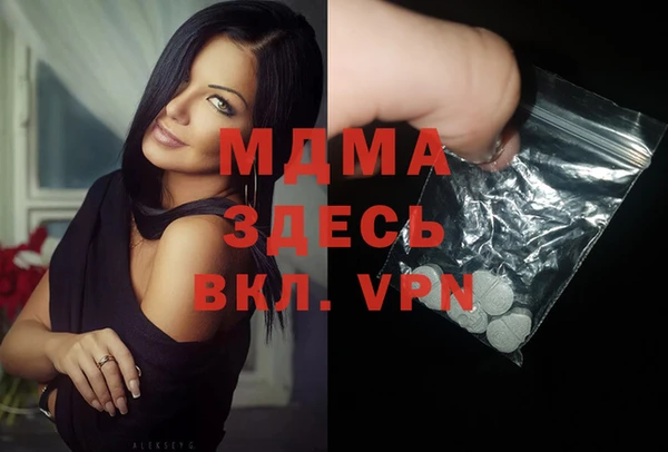 ГАЛЛЮЦИНОГЕННЫЕ ГРИБЫ Дмитриев