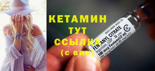 ГАЛЛЮЦИНОГЕННЫЕ ГРИБЫ Дмитриев