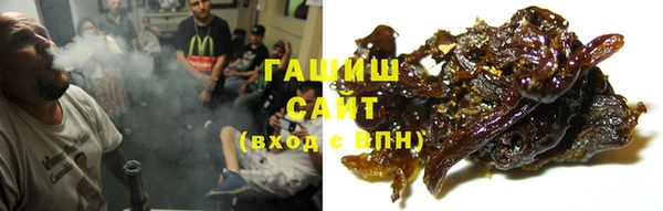 ГАЛЛЮЦИНОГЕННЫЕ ГРИБЫ Дмитриев