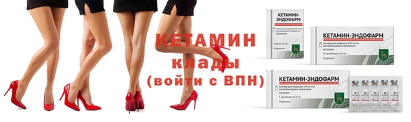 ГАЛЛЮЦИНОГЕННЫЕ ГРИБЫ Дмитриев