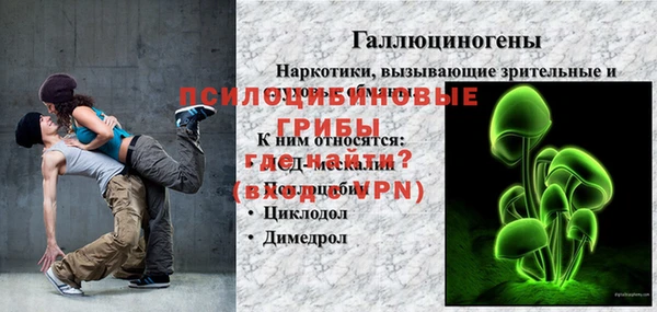 ГАЛЛЮЦИНОГЕННЫЕ ГРИБЫ Дмитриев