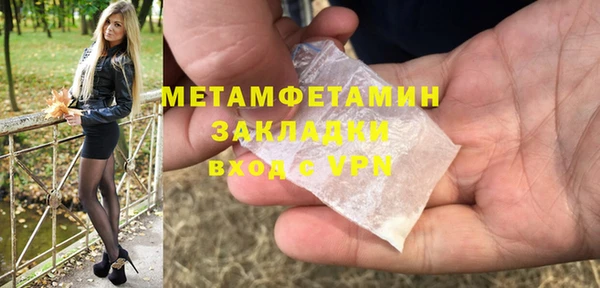 ГАЛЛЮЦИНОГЕННЫЕ ГРИБЫ Дмитриев