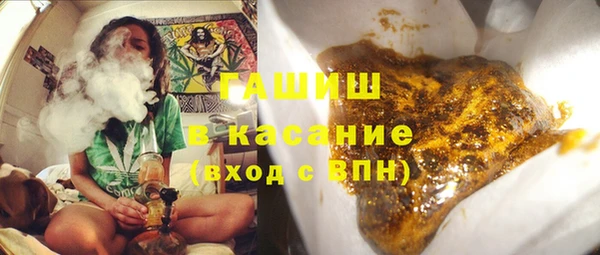 ГАЛЛЮЦИНОГЕННЫЕ ГРИБЫ Дмитриев