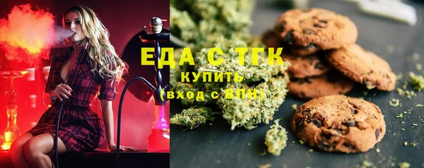 ГАЛЛЮЦИНОГЕННЫЕ ГРИБЫ Дмитриев