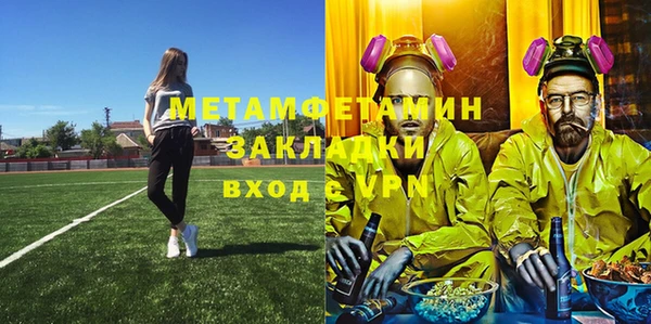 ГАЛЛЮЦИНОГЕННЫЕ ГРИБЫ Дмитриев