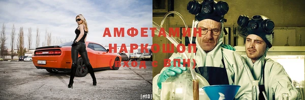 ГАЛЛЮЦИНОГЕННЫЕ ГРИБЫ Дмитриев