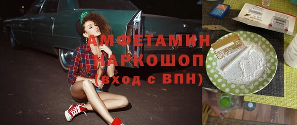 ГАЛЛЮЦИНОГЕННЫЕ ГРИБЫ Дмитриев