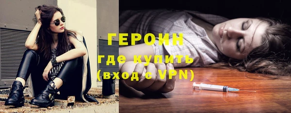ГАЛЛЮЦИНОГЕННЫЕ ГРИБЫ Дмитриев
