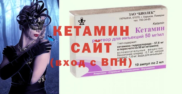 ГАЛЛЮЦИНОГЕННЫЕ ГРИБЫ Дмитриев